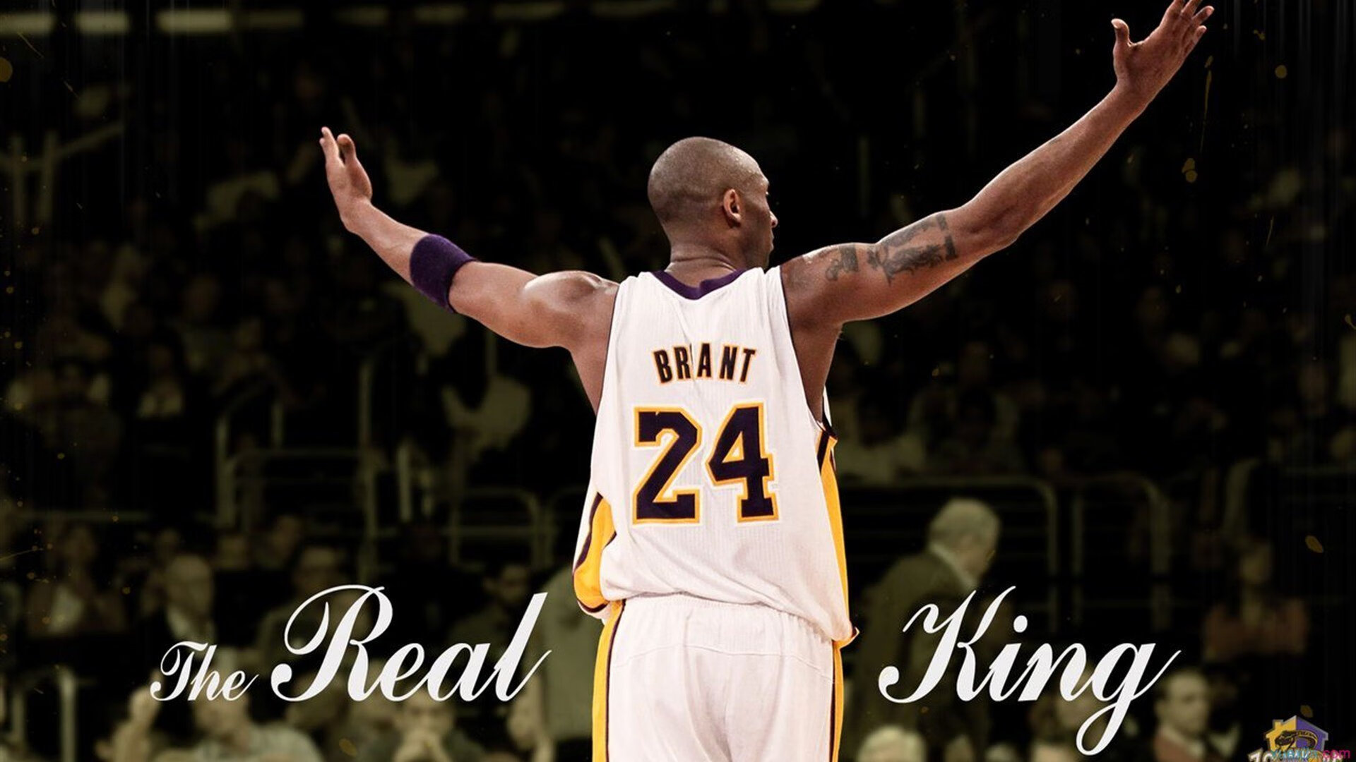 九游体育电竞-雅马哈车队在MotoGP中取得多场胜利，motogp雅马哈车型